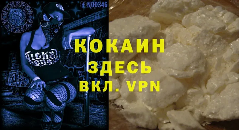 Cocaine Fish Scale  Урюпинск 